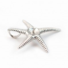 Pendant Bail starfish, silver 925 rhodium, for bead half-drilled, 24mm x 1pc
