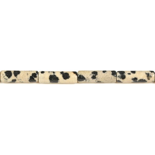 Jaspe dalmatien, en forme de tube 4*13mm X 40cm