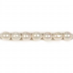 Perle coltivate d'acqua dolce, bianche, barocche, 11 mm x 40 cm