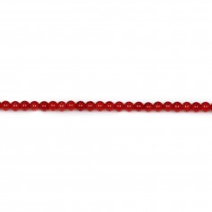 Red colored round sea bamboo 2mm x 40cm 