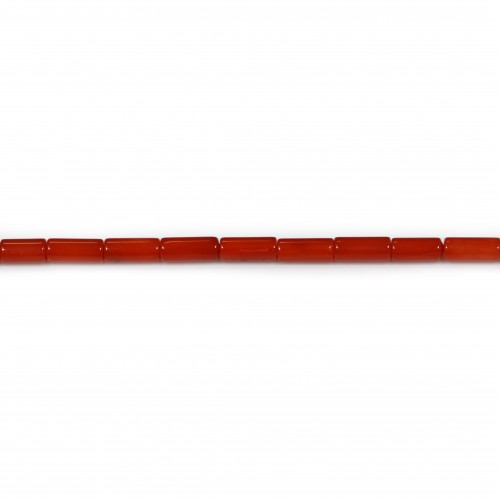 Red colored tube sea bamboo 2x4mm x 30pcs