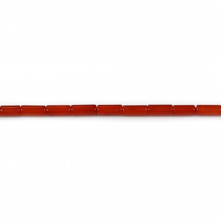 Bambou de mer teinte rouge tube 3x7mm x40 cm
