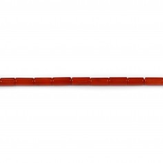 Bambù marino, colore rosso, tubo, 3x7mm x 40cm
