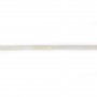 Bambou de mer blanc tube 2x4mm x 40cm