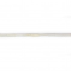 Bambou de mer, blanc, tube, 2x6mm x 40cm