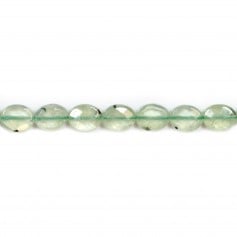Oval faceted prehnite 8*10mm x 40cm