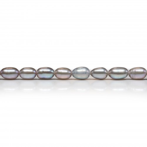 Perle de culture d'eau douce grise, ovale, 6-6.5mm x 39cm