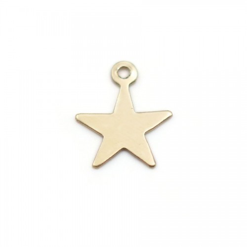 Estrella grabada en oro 8mm x 2pcs