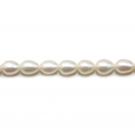 Perles d'eau douce blanches olive 7-8mm x 40cm