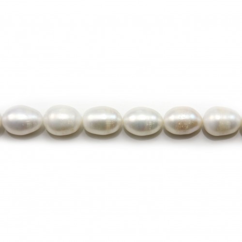 en naturelles d'eau douce blanc perle semi ronde 9 mm Perles 15" Strand 