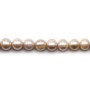 Perle coltivate d'acqua dolce, color malva, semitonde, 11-12 mm x 40 cm
