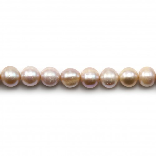 Perlas cultivadas de agua dulce, malva, semirredondas, 11-12mm x 40 cm