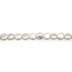 Perles de culture d'eau douce, blanche, ronde plate, 10mm x 2pcs