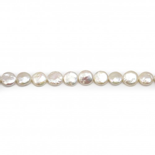 Silvery white flat round freshwater pearls on thread 11mm x 40cm