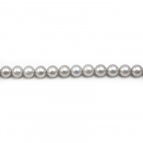 Perles d'eau douce rondes grises 10mm x 1pc