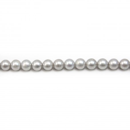 Grey round freshwater pearls on thread 10mm x 40cm