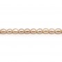 Salmon color oval freshwater pearls on thread 7.5-9mm x 40cm