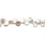 White freshwater pearl keshi x 40cm