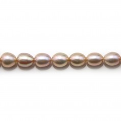 Freshwater cultured pearls, purple, olive, 5-7mm x 4pcs