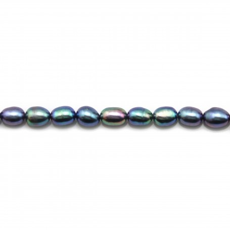 Freshwater pearls colored blue, in oval shaped, 5 - 6mm x 20pcs