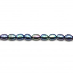 Perle coltivate d'acqua dolce, blu scuro, oliva, 5-6 mm x 4 pezzi