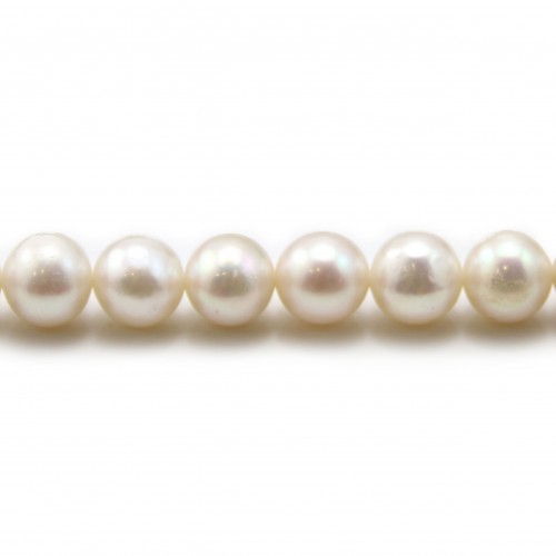 Perle coltivate d'acqua dolce, bianche, semitonde, 8 mm x 1 pz