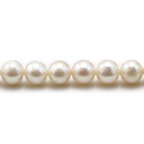 Perlas cultivadas de agua dulce, blancas, redondas, 8mm x 40cm