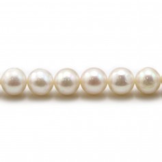 Perlas cultivadas de agua dulce, blancas, redondas, 8mm x 40cm