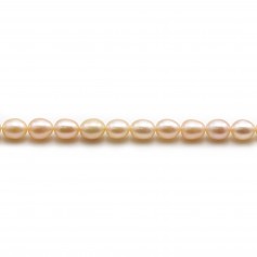 Salmon freshwater cultured pearl, olive shape 5-6mm x 39cm