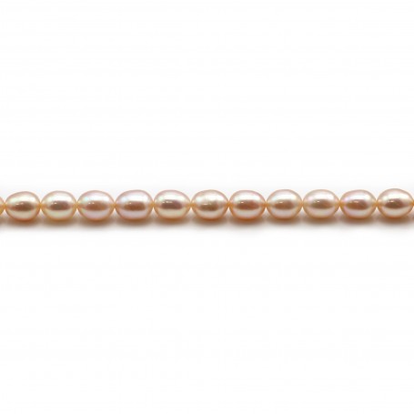 Freshwater pearls colored salmon, in oval shaped, 6 - 7mm x 6pcs