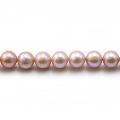 Perlas cultivadas de agua dulce, moradas, redondas, 8-9mm x 40cm