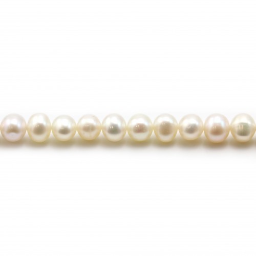 Perle coltivate d'acqua dolce, bianche, semitonde, 5,5-6,5 mm x 2 pezzi