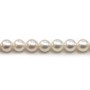 White japonais AKOYA pearl culture round 7-7.5mm x 40cm