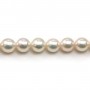 Perles culture AKOYA japonais rond 8-9mm AAA x 40cm