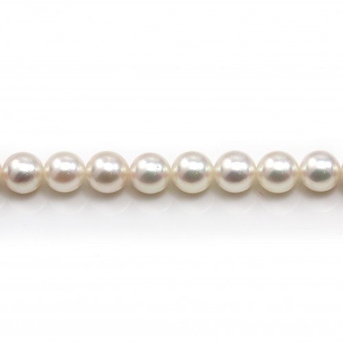 Perles culture AKOYA japonais rond 6.5-7mm x 40cm