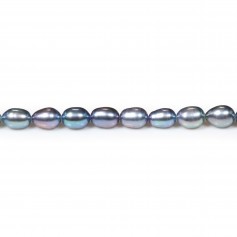 Perle coltivate d'acqua dolce, blu scuro, oliva, 6 mm x 38 cm