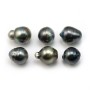 Tahitian pearl half round 9.5-10.5mm x 4pcs