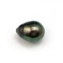 Perle de culture de Tahiti, semi-percée, semi-ronde, 12-13mm x 1pc