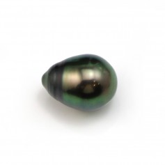 Tahitian cultured pearl, half drilleddrop, 12-13mm x 1pc