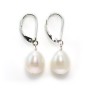 Earrings : freshwater pearls & dormeuse silver 925 x 2pcs