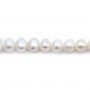 Perles de culture d'eau douce blanche ovale 6-7mm x 40cm