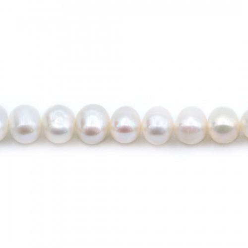 Perle coltivate d'acqua dolce, bianche, ovali, 6-6,5 mm x 40 cm
