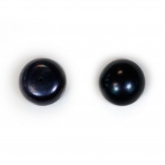 Freshwater cultured pearl, half-perforated, dark blue, button, 11-12mm x 1pc