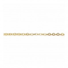 Gold Filled Flat Cable Chain 1.6x2.4mm x 50cm