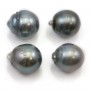 Perles de culture de Tahiti, semi-ronde, 14-15mm x 4pcs
