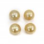 South Sea pearl, half-drilled, champagne, round, 9-10mm