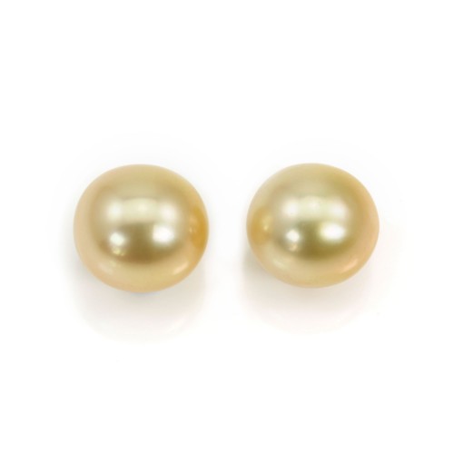 South Sea pearl, gold, half-round, 10-11mm x 2pcs, AA