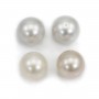 Perle des mers du Sud, blanche, ronde, 13-14mm, AA x 1pc
