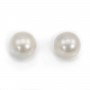 Perle des mers du Sud, blanche, ronde, 14-15mm, AA x 1pc