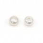 Perles de culture d'eau douce, semi-percée, blanche, bouton, 6-6.5mm x 2pcs